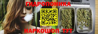 спиды Кингисепп