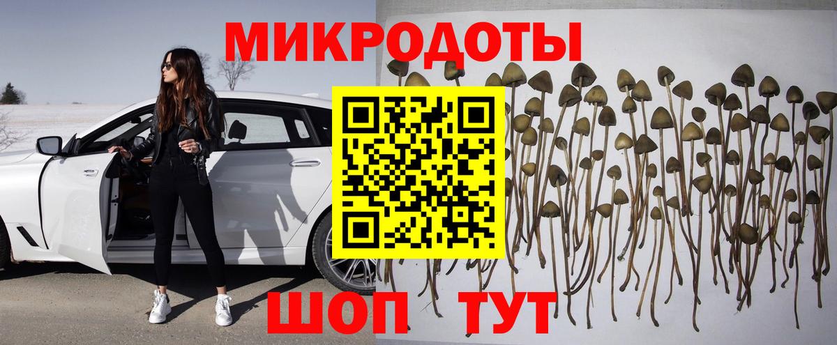 Псилоцибиновые грибы GOLDEN TEACHER  Галлюциногенные грибы Psilocybe  Вход с VPN  Кушва 